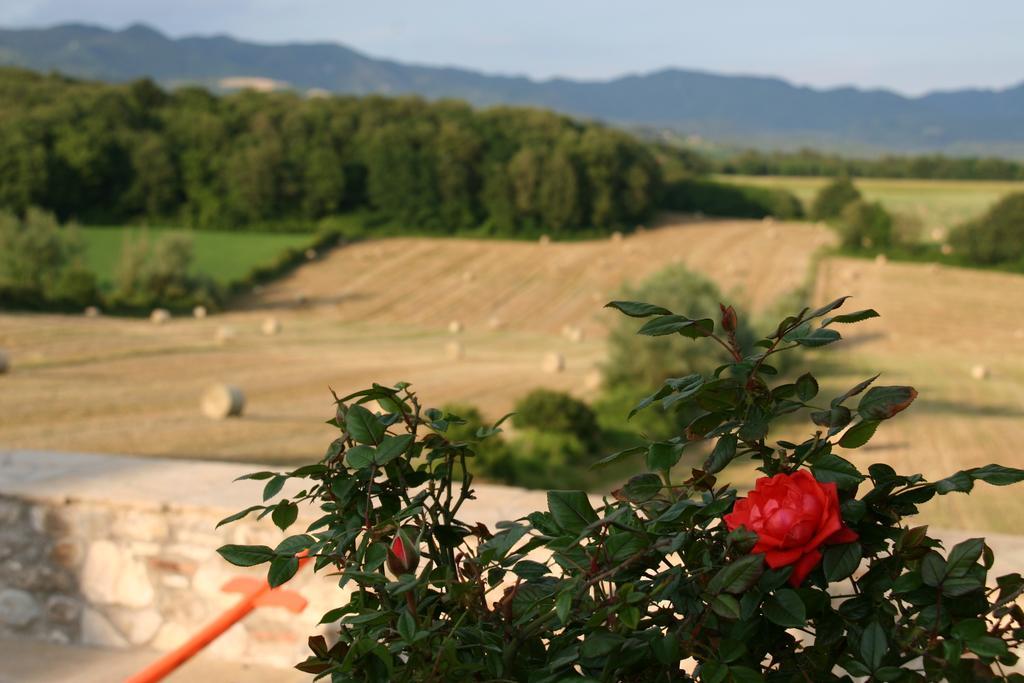 Il Nido Di Gabbiano Guest House Scarperia Exterior photo