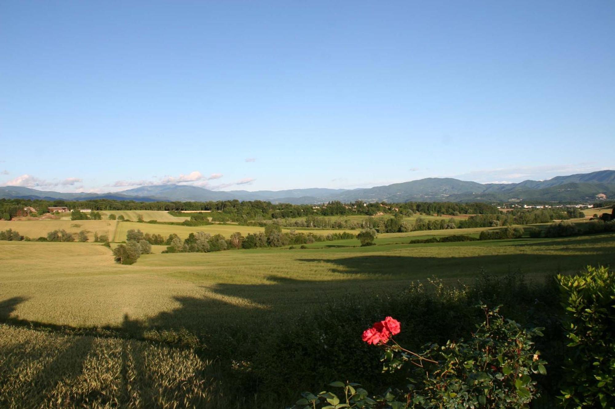 Il Nido Di Gabbiano Guest House Scarperia Exterior photo