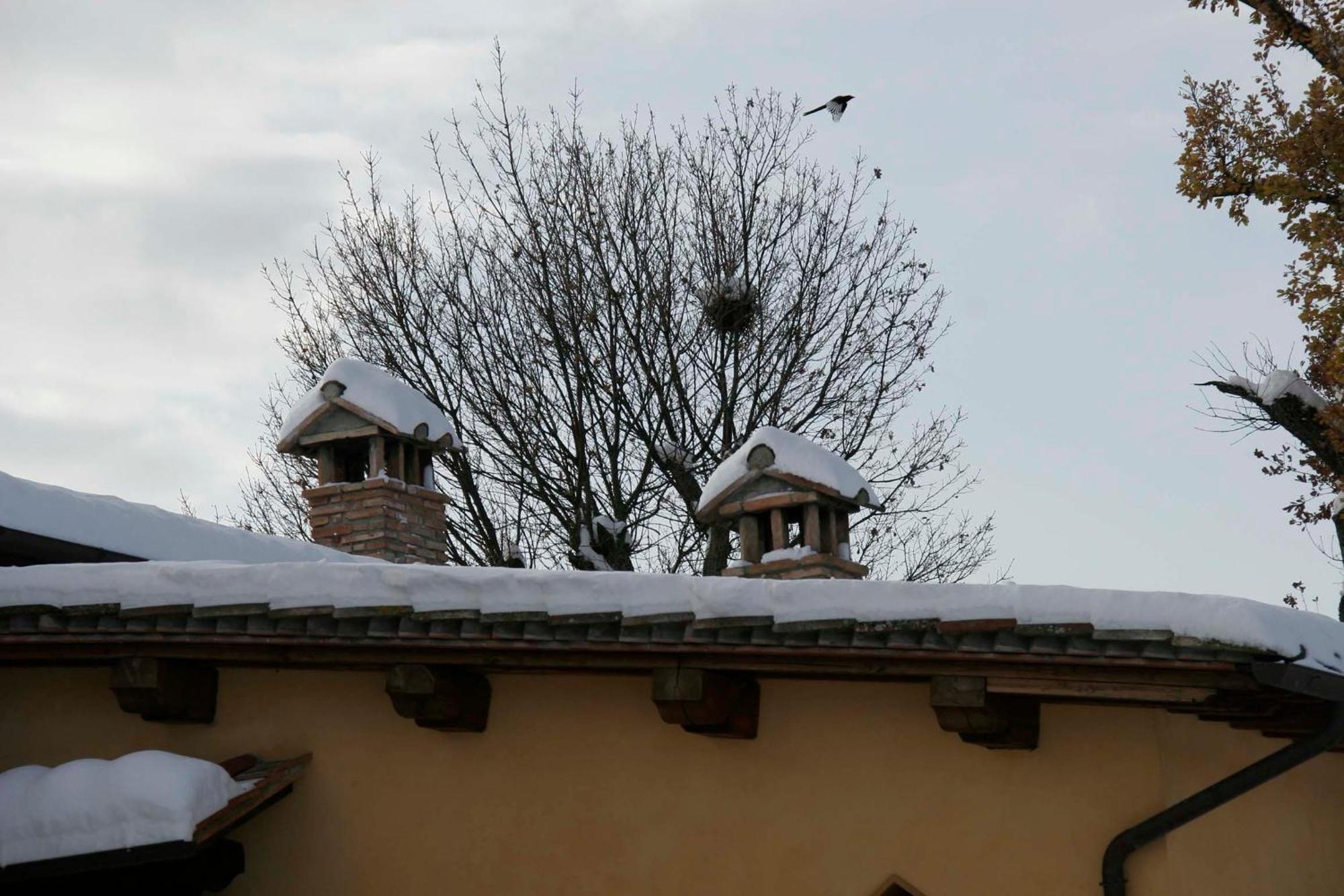 Il Nido Di Gabbiano Guest House Scarperia Exterior photo